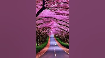 beautiful trees on a japan #yt studio #viral #youtube #nature #trees