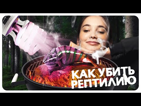 Эффективные методы убийства рептилий. Как сделать все быстро и чисто?