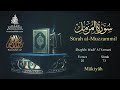 سورة المزمل وديع اليمنى