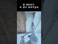 아이씬폼 ProSeal HFO (무독성 경질) 시공