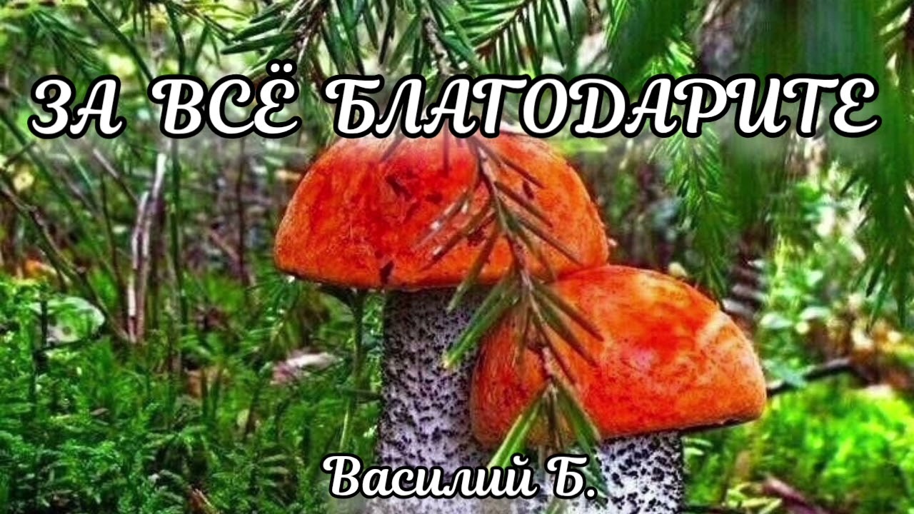 ЗА ВСЁ  БЛАГОДАРИТЕ.  ПРОПОВЕДЬ ВАСИЛИЙ БОРВАНОВ (НА ОБЩЕНИИ 50+)