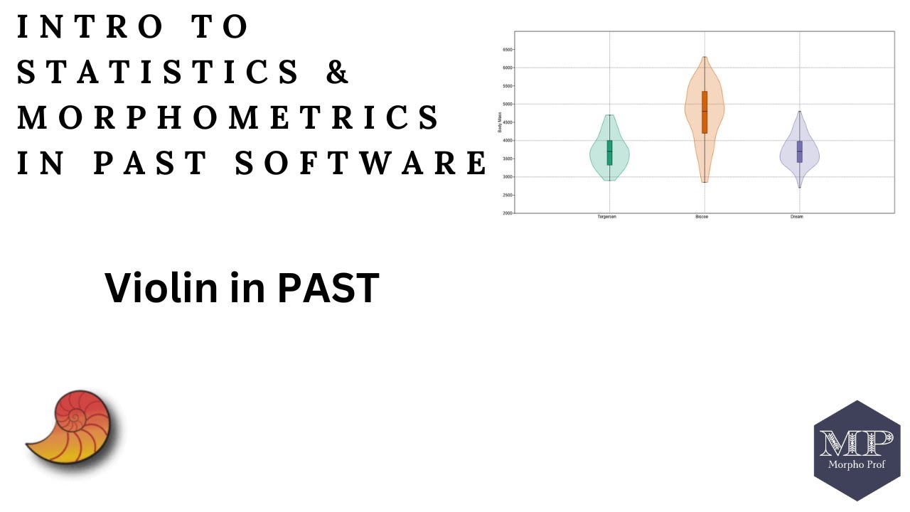 Violin Plot in PAST Software - YouTube