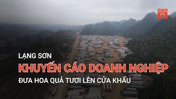 LẠNG SƠN KHUYẾN CÁO DOANH NGHIỆP ĐƯA HOA QUẢ TƯƠI LÊN CỬA KHẨU | VTC9