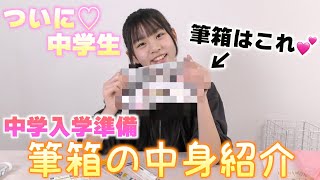 【中学入学準備】新しい筆箱はこれに決定!!ついにシャーペン・カラーペンデビュー✨汚い筆箱とはもうさよならです