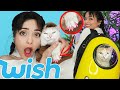 جربت أغرب مشتريات لقطتي من موقع Wish ( ردة فعلها عليهم )