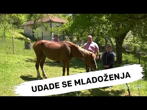 Video: Zašto Djevojke Od 18 Do 20 Godina Toliko žele Da Se Udaju?