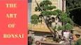 The Enchanting World of Bonsai: A Time-Honored Art Form Unraveled ile ilgili video