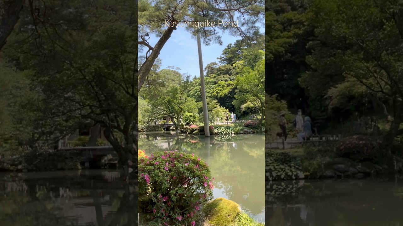 Kasumigaike Pond | かすみがいけ| Pond of Mist | 