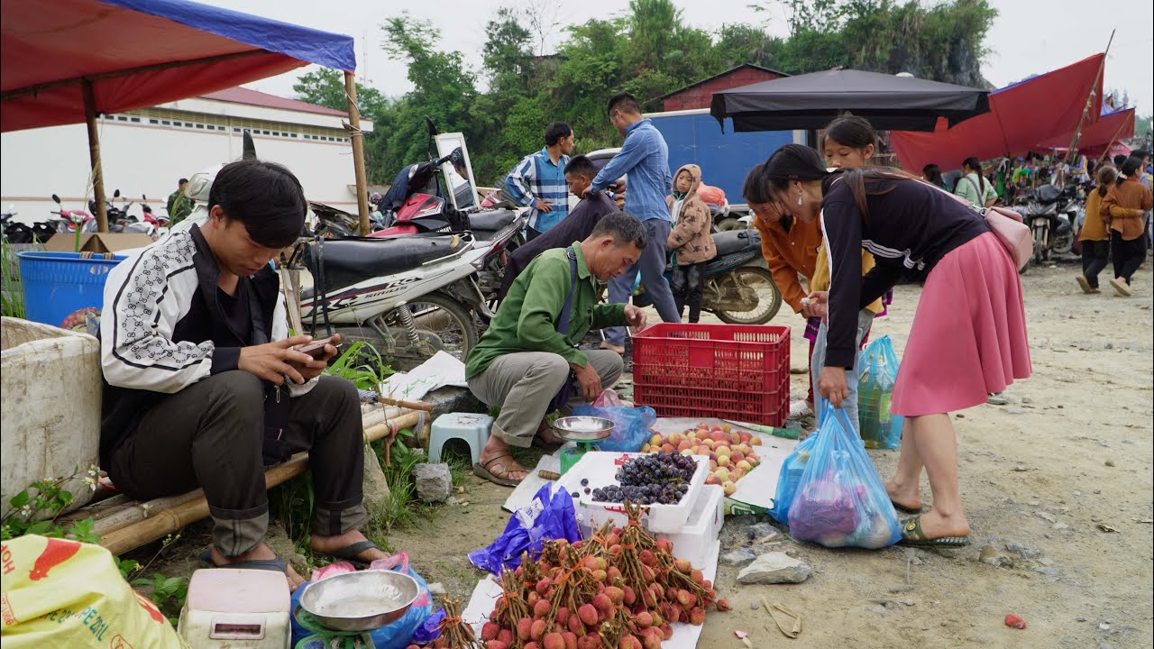 A day trip to Cao Son market in Northwest Vietnam, a market of the Hmong people.