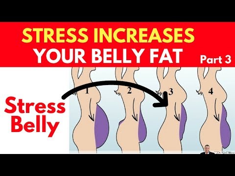 🍽️-clinically-proven:-stress-increases-your-belly-fat---part-3---by-dr-sam-robbins