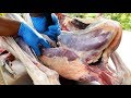 Thai Food - OSTRICH Giant Noodle Soup Bangkok Thailand