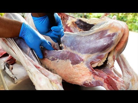 thai-food---giant-ostrich-noodle-soup-bangkok-thailand