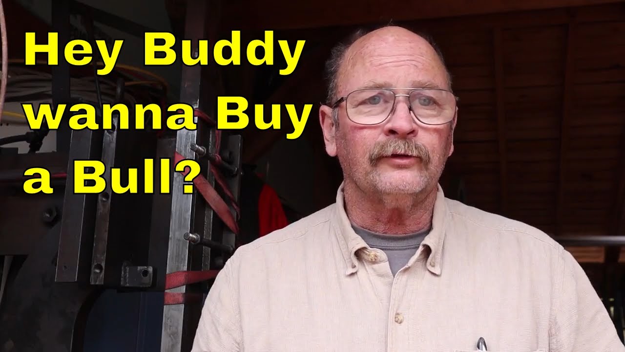 Is the bull hammer for sale? Yes it is - as is where is