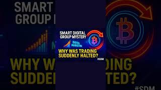 Smart Digital Group Mysterywhy Was Trading Suddenly Halted sdm
