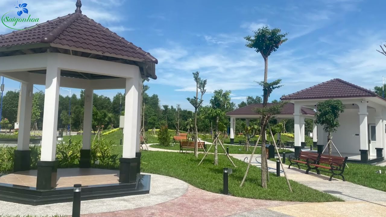 Cây bóng mát công trình nên trồng loại nào? - Lựa chọn hoàn hảo cho không gian xanh của bạn