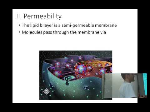 Cell membranes and