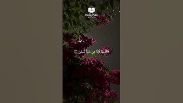 الشيخ محمد أيوب | سورة طه { 17 - 21 }