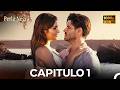 Perla Negra Capítulo 1 Doblado En Español FULL HD 