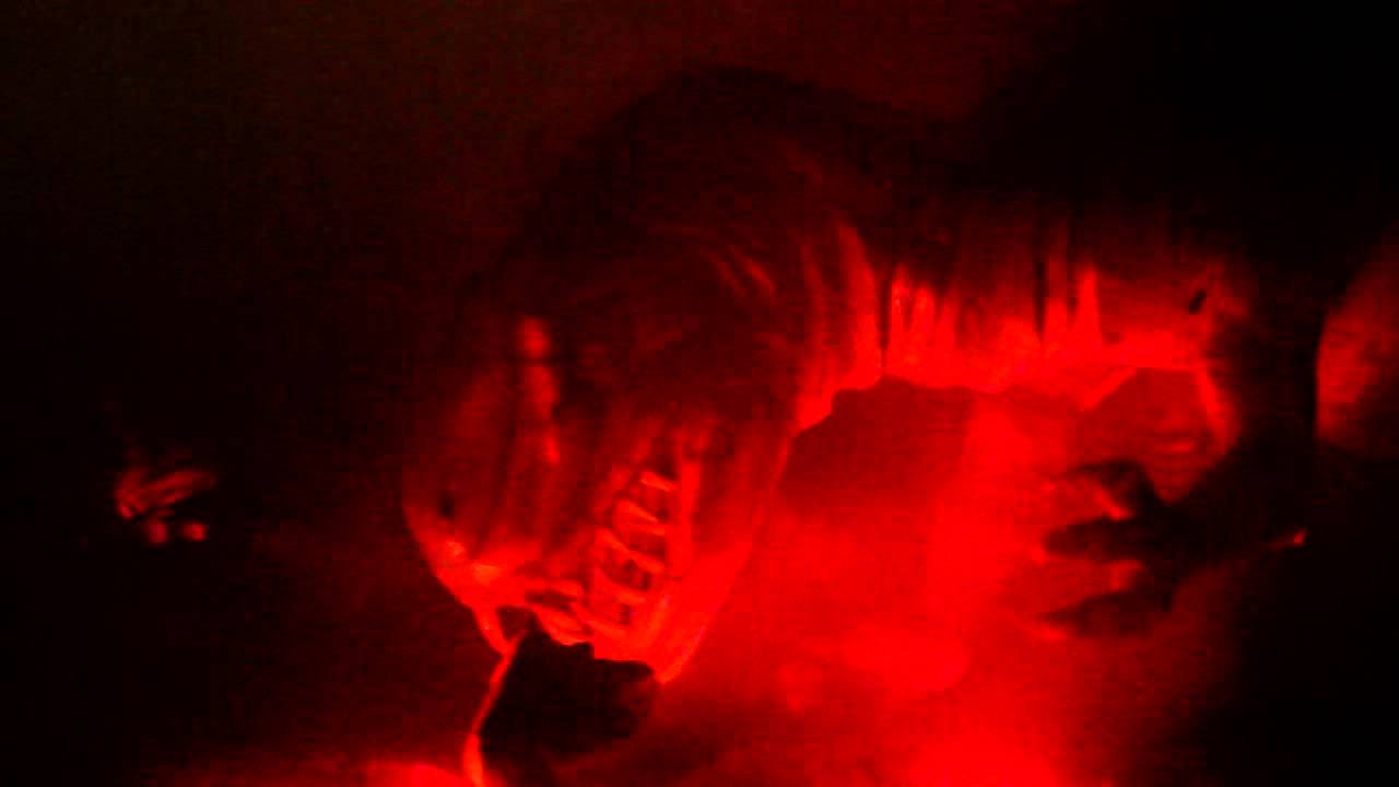 Dinossauros no DinoMagic - Beto Carrero