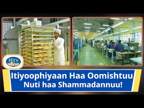 Itiyoophiyaan Haa Oomishtuu Nuti Haa Shammadannuu