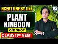 Plant Kingdom - Complete Chapter in One Video || Concepts+PYQs || Biology Class 11th NEET 2026