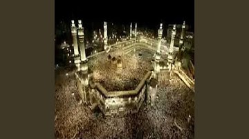 عبدالمحسن القاسم سورة هود