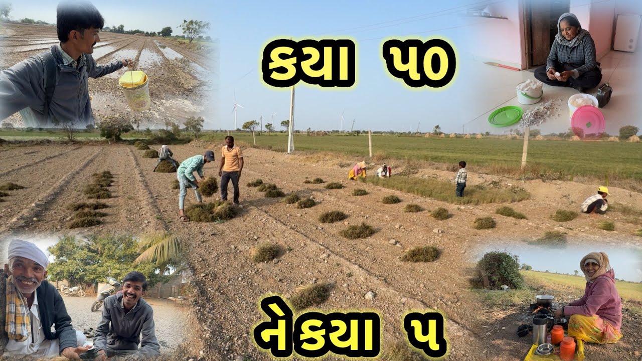 ક્યા ૫૦ ને ક્યા ૫ બોલો 🥹