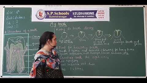 STD 4 CBSE | SCIENCE LEC 7 | S P SCHOOL SURENDRANAGAR