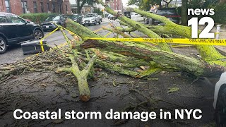 Downed trees, wind and rain batter NYC as coastal storm moves through | News 12