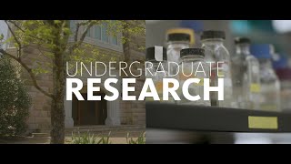 Undergraduate Research