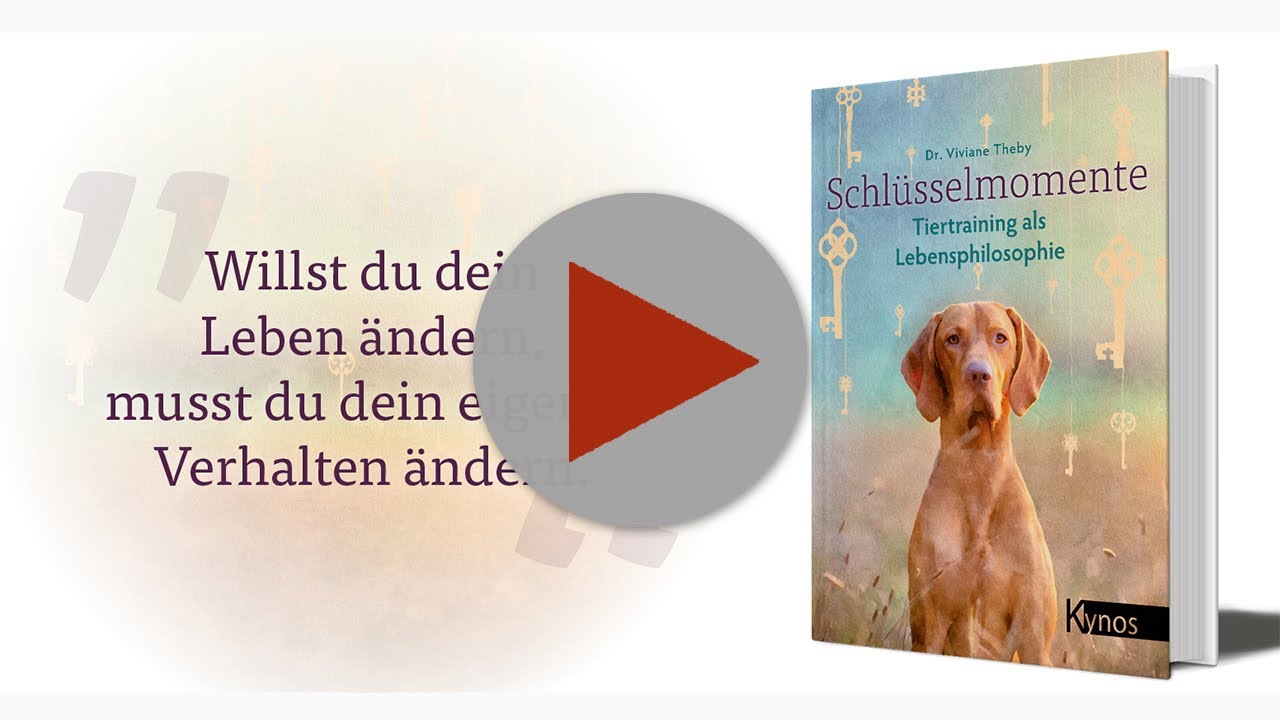 Schlüsselmomente der Trailer zum Buch - YouTube