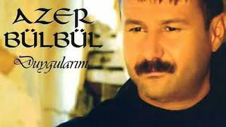 Azer Bülbül Alvin Ve Sincaplar Resimi