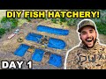 Building a Giant FISH HATCHERY at My RANCH!!! - DAY 1
