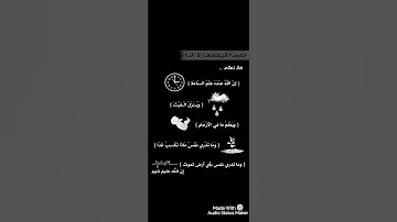 حلات واتس اب | من سورة لقمان |القارئ عبدالله