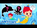 Juguemos a las Escondidas en el Mar | Animales Marinos | Canciones Infantiles | JunyTony en español