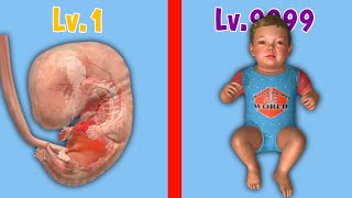 MAX LEVEL BABY EVOLUTION! in 9 Months screenshot 2