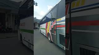 Download Lagu DAHLIA INDAH || Berangkat Kediri - Jakarta || Lepas Terminal Tamanan Kota Kediri MP3 Download Lagu DAHLIA INDAH || Berangkat Kediri - Jakarta || Lepas Terminal Tamanan Kota Kediri MP3