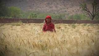 The Story of Global Rajasthan AgriTech Meet Logo