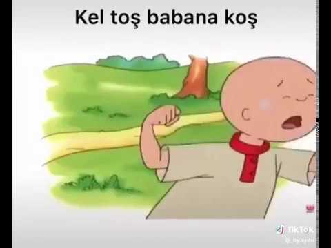 Caillou Keltoş Babana Koş