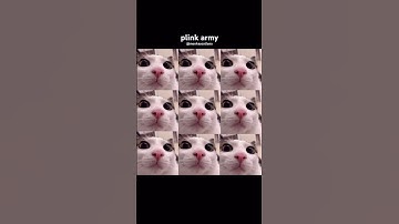 plink army #shorts [ Crunchycat ]