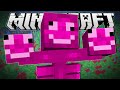 Minecraft | MINECRAFT HAS GONE CRAZY!!