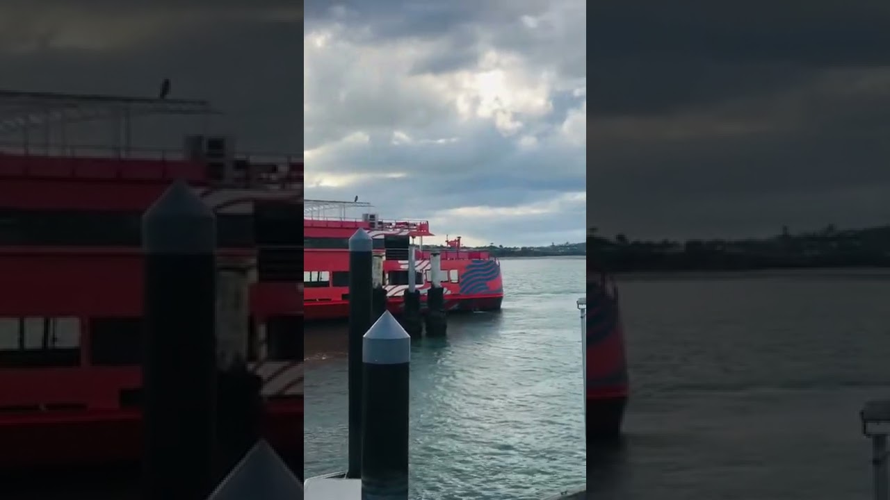 Half moon bay Auckland New Zealand 