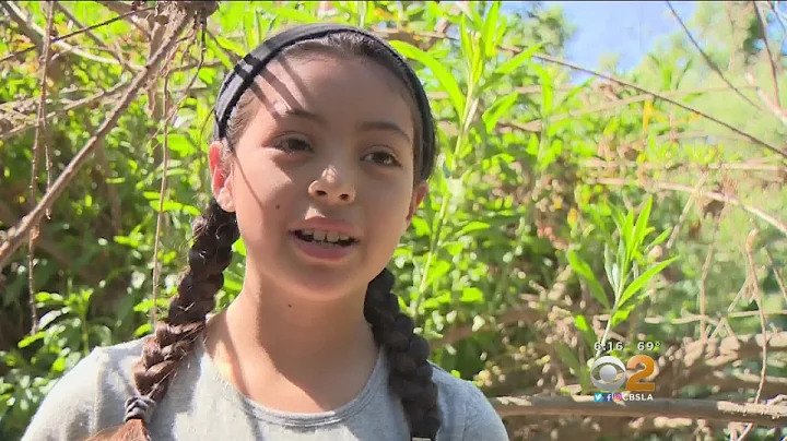 Volunteers Help Clean Up The LA River