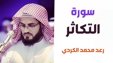 سورة التكاثر - رعد الكردي - القران الكريم