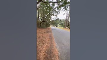 Run until: golden car