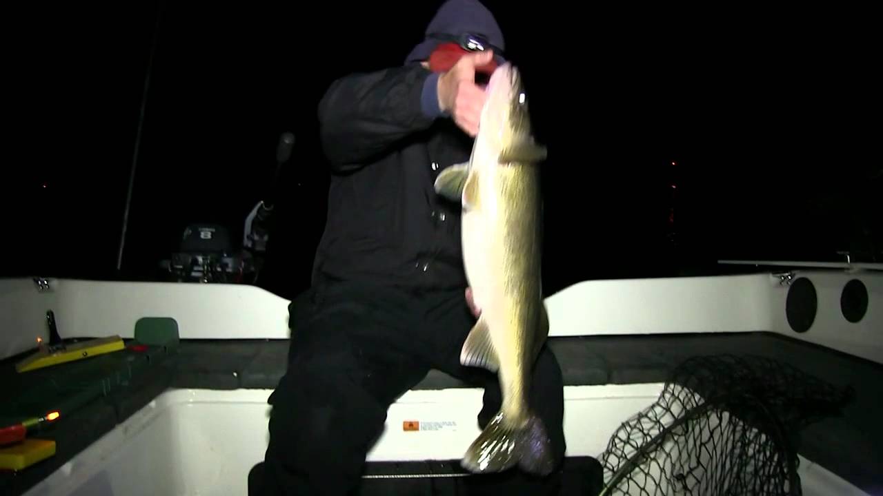 This Week On Fish Door County TV Trophy Walleyes..After Dark YouTube