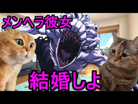 猫ミーム 猫ミーム』に変身して生活してみた結果！？ロブロックス【ROBLOX