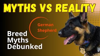 #misunderstood dog breed #debunking #unfair #myths #behavior #underrated #underdog #behavior #breed by BreedSpot - Spotting the best dog breeds 341 views 5 months ago 2 minutes, 3 seconds