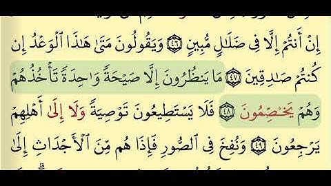 إتقان تلاوة "يخصمون" برواية قالون بصوت القارِئ وليد النائحي