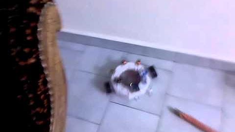 Obstacle Avoiding Robot using Arduino and cheap IR sensors